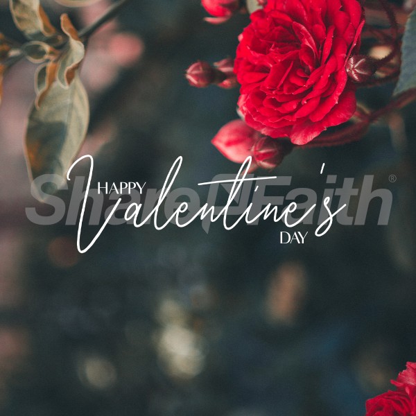 Happy Valentine's Day Social Media Graphics 2022 Thumbnail Showcase