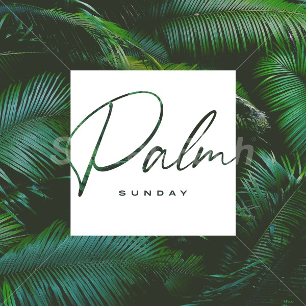 Palm Sunday Easter Social Media Graphic Thumbnail Showcase