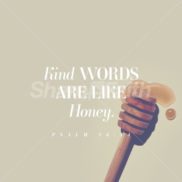 King Words are Like Honey Social Media Graphics Thumbnail Showcase