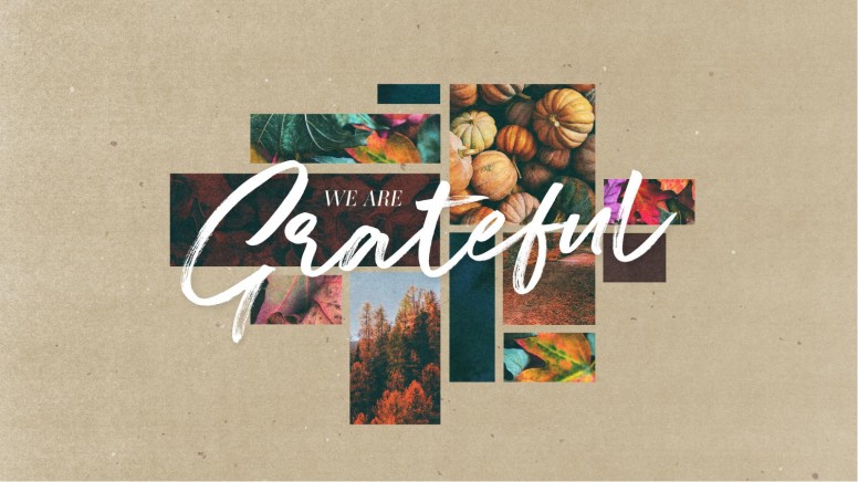 We Are Grateful Sermon Graphics Pack Thanksgiving