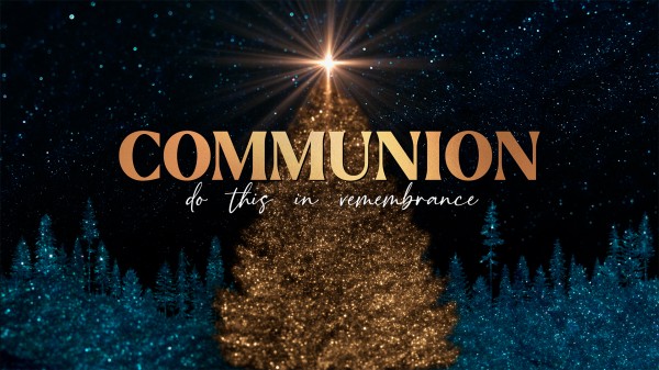 Sparkling Christmas Collection: Communion