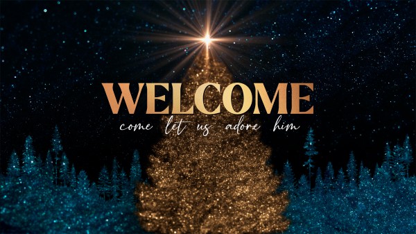 Sparkling Christmas Collection: Welcome