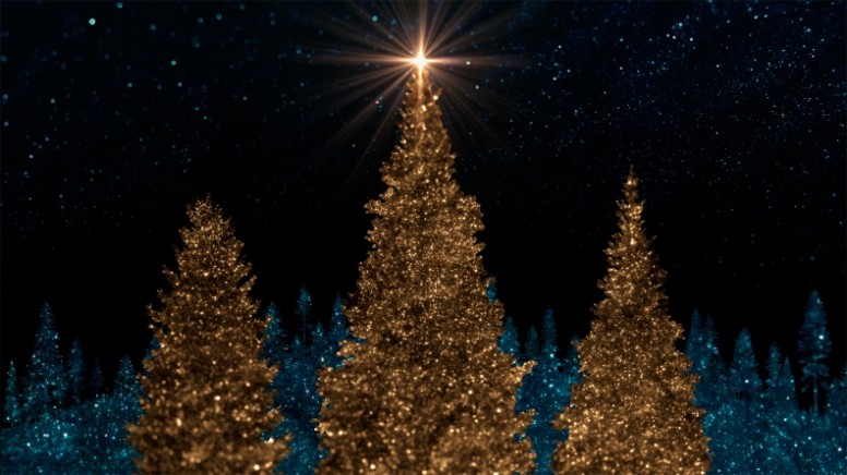 Sparkling Christmas Collection: Still Background 3