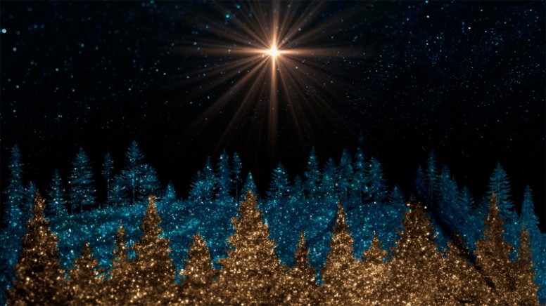 Sparkling Christmas Collection: Still Background 4 Thumbnail Showcase