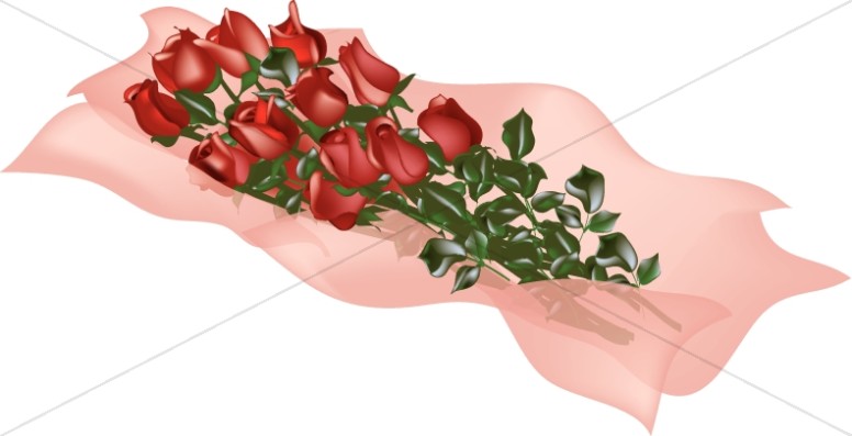 Roses on Pink Tissue Paper Thumbnail Showcase