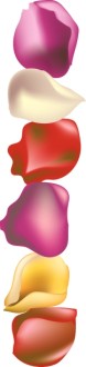 Summer Rose Petal Side