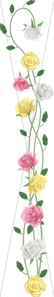 Realistic Spring Rose Simple Side
