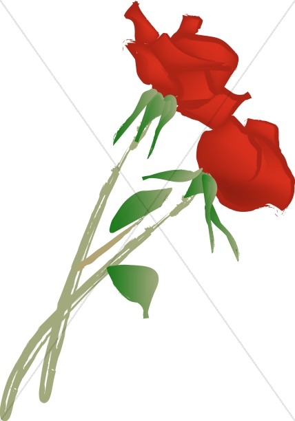 Two Romantic Roses Thumbnail Showcase