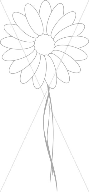 Light Stem on Daisy Blossom