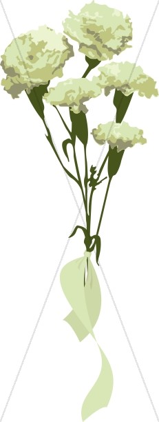 White Carnation Gift Bouquet