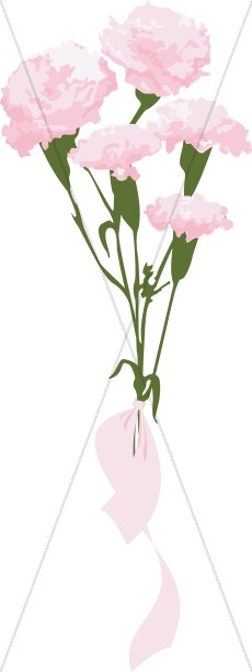 Pink Carnation Gift Bouquet