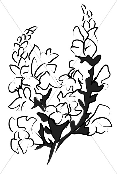 Altar Flower Bouquet Sketch