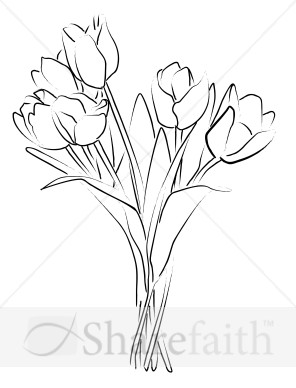 Tulip Bouquet Sketch | Church Bouquet Clipart