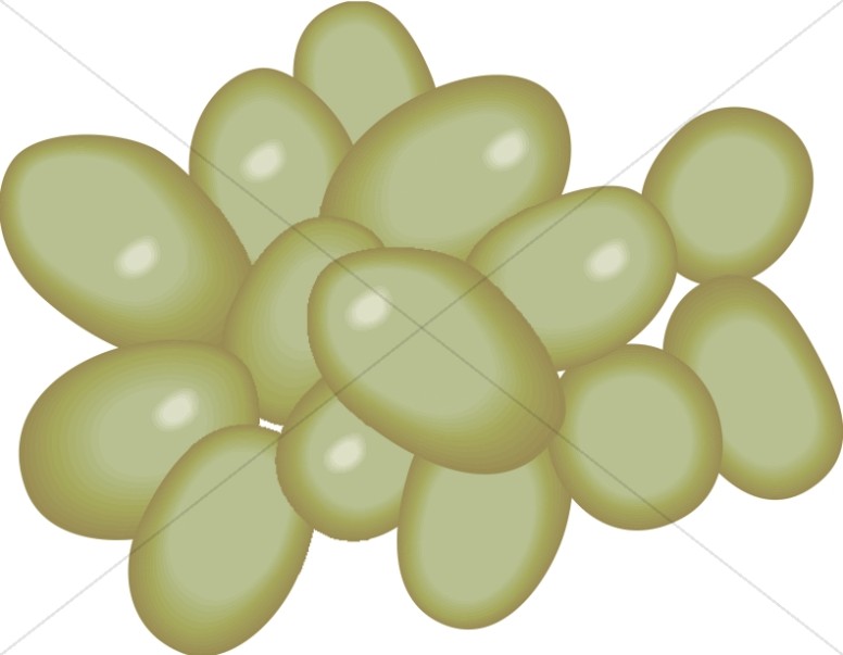 Green Grape Cluster