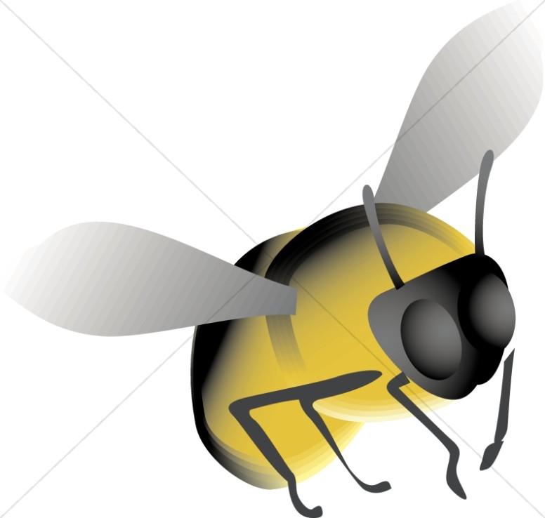 Honeybee Flying Thumbnail Showcase