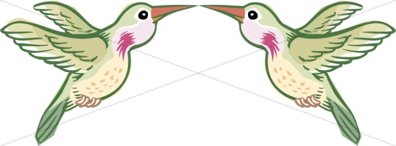 Symmetrical Hummingbirds Thumbnail Showcase