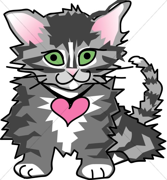 Adorable Gray Kitten Thumbnail Showcase