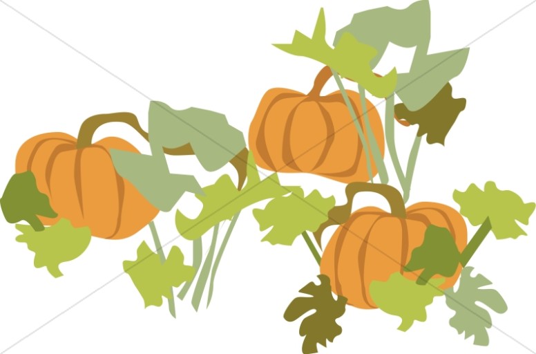 Pumpkin Patch with Foliage Thumbnail Showcase
