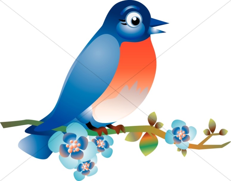Blue Bird on a Limb Thumbnail Showcase