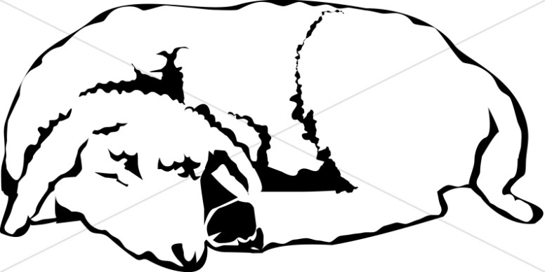 The Sleeping Lamb in Black and White Thumbnail Showcase