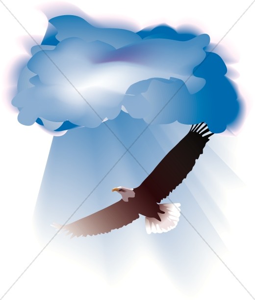 Realistic Eagle Soars through Clouds Thumbnail Showcase