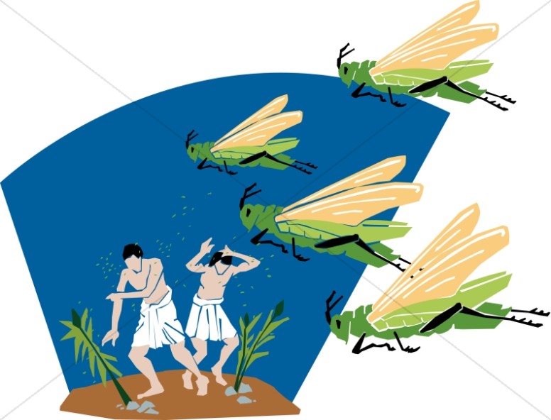A Plague of Locusts Thumbnail Showcase