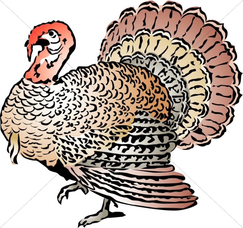 Woodcut Style Turkey with Color