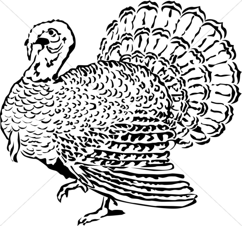 Woodcut Style Turkey