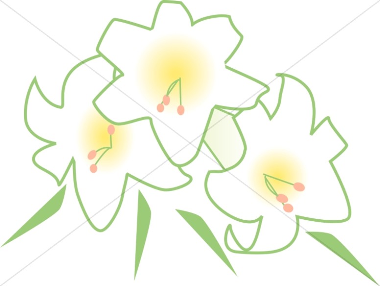 Bouquet of White Lilies Thumbnail Showcase