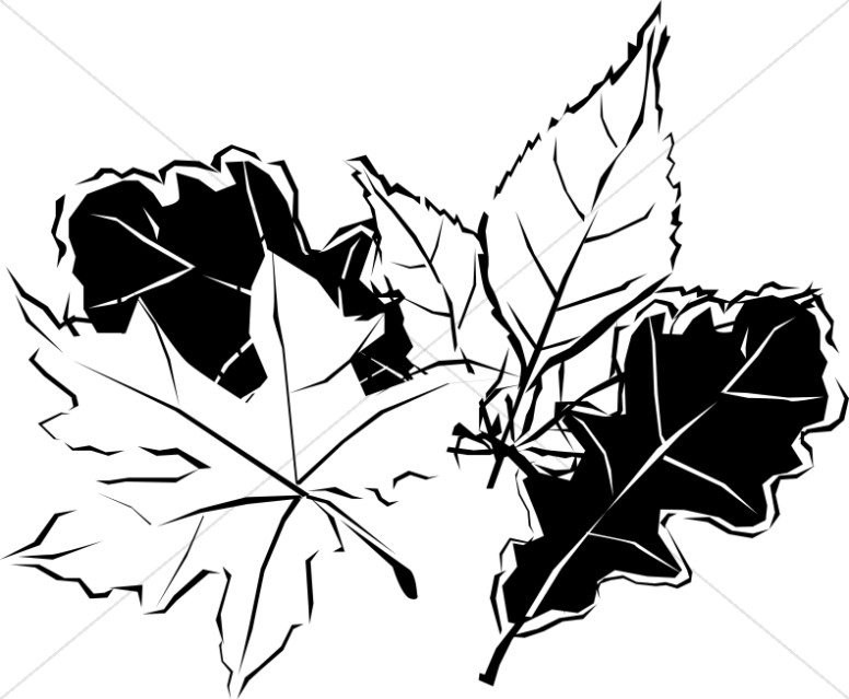 Autumn Leaves Clip Art Black and White