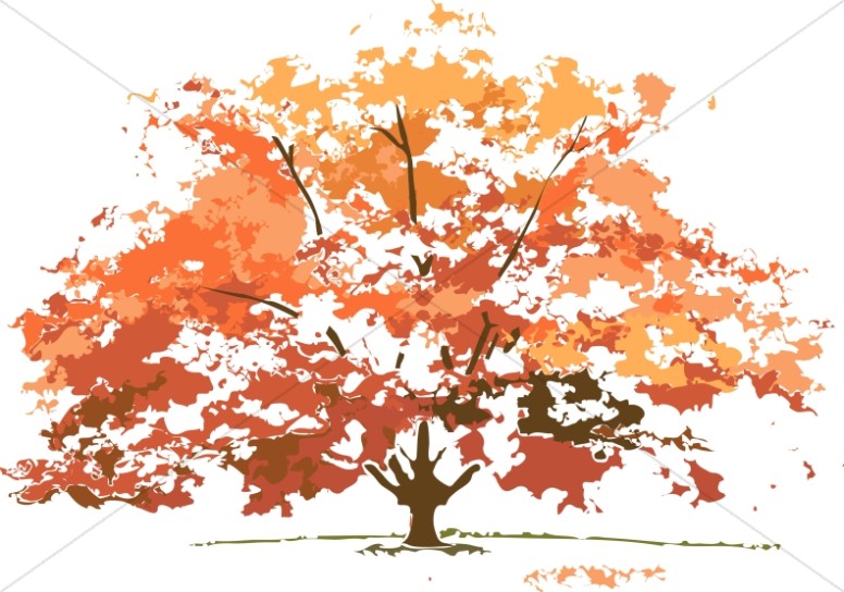 Fall Colors Maple tree