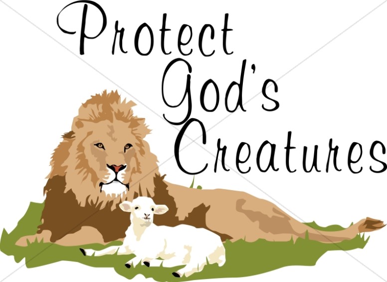 Protect God's Creatures Lion and Lamb