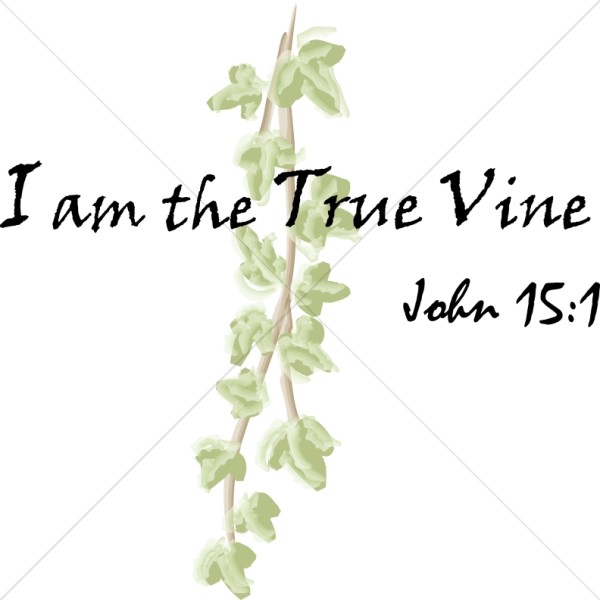 I am the True Vine Scripture 2   John 15:1 Thumbnail Showcase