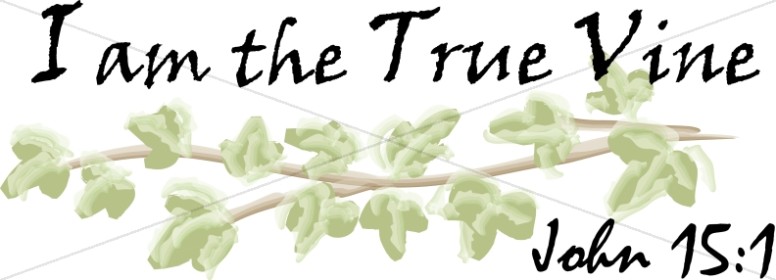 I am the True Vine Scripture   John 15:1 Thumbnail Showcase