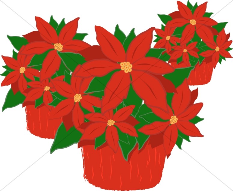 Trio Of Poinsettia Plants Religious Christmas Clipart