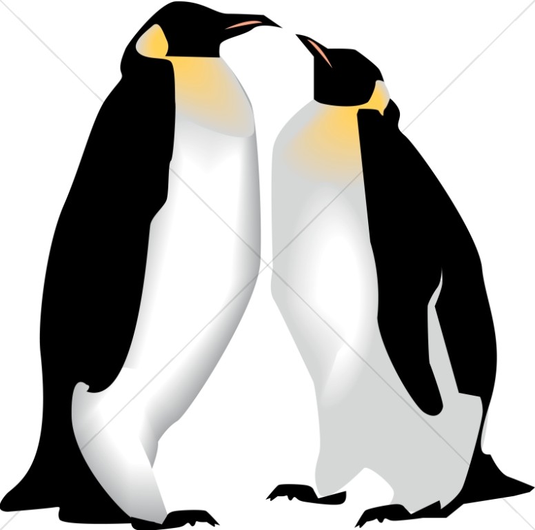 Two Penguins Thumbnail Showcase
